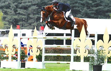 5EEEAF78-D69C-4A98-B051-D6B5417934AB_1_105_c_edited.jpg
