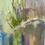 Thumbnail: Slanted Silver Forest | Unframed