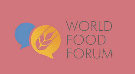 Screen Shot 2025-08-16 at 11.01.42 AM.png