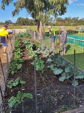 Our Vegetable Garden