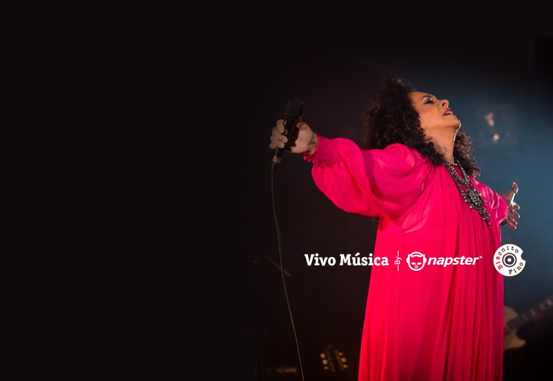 Contest Gal Costa project thumbnail