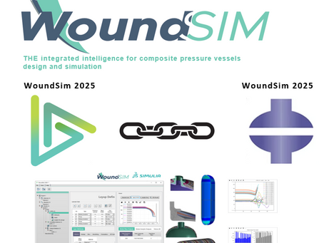 WoundSim 2025 is now available !
