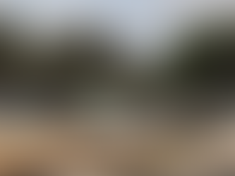 عفو بینالملل حماس و گروههای مسلح فلسطینی را به ارتکاب جنایات علیه غیرنظامیان متهم کرد