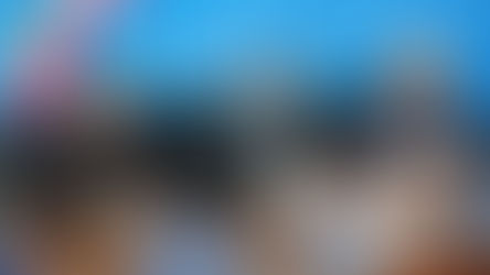 تصفیه اصلاحطلبان در پازل استراتژی زمین سوخته