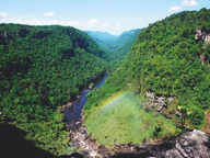 جنگل‌های آفریقا طی هفت سال ۱۰۶ میلیارد کیلوگرم زیست‌توده جنگلی از دست داده‌اند