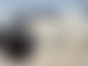 تخلیه پنهانی اردوگاه الهول پس از عقبنشینی کردها