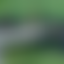 نسل جدید مافیای ترک در اروپا: شبکههای جوان، خشن و فعال در شبکههای اجتماعی