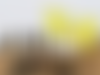 صلحِ مشروط به حذف: نیم‌نگاهی به نقش ترکیه در فرآیند حل مساله کُرد در سوریه 