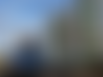 آلمان علیه اسلامگرایی در تیکتاک: ممنوعیت یک گروه جوانان به دلیل تبلیغ خلافت و نفی دموکراسی