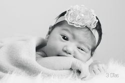 Bebés