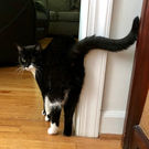IMG_8094.jpeg