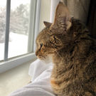 IMG_8331.JPEG