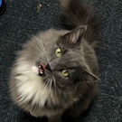 IMG_6571.jpeg