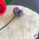Miniature : Rose Magique Violette