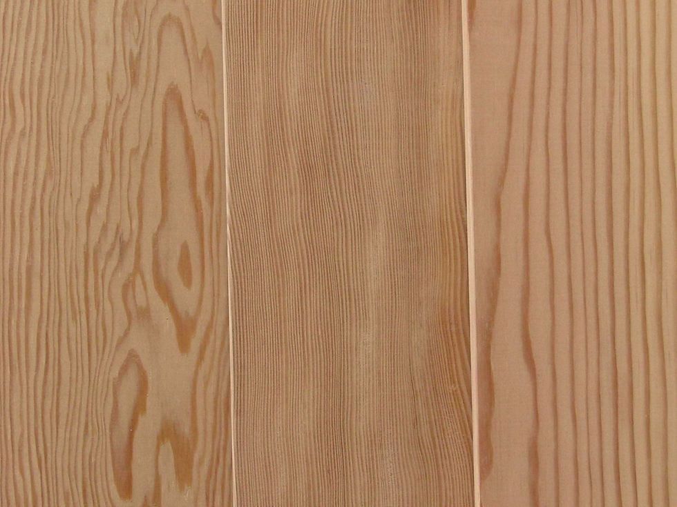 Close-up of Douglas fir wood grain showing amber color and tight, straight grain