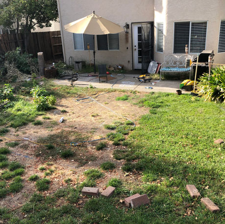 Before: patchy lawn and overgrown beds behind the house in Rocklin, CA