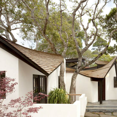 Curved shingled rooflines and white stucco walls under the oaks at Canopy House, Carmel-by-the-Sea