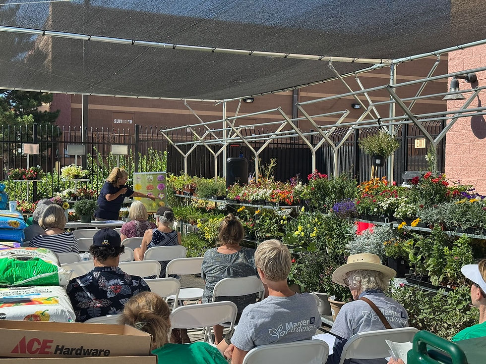 Building a Pollinator Garden