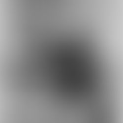 Wesley Washington Miller