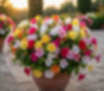 Akşamsefası - Greenity