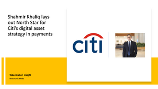 Citi payments digital asset