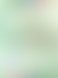 CREATING SACRED SPACE FUNDRAISER -- Sunday, March 15, 2026 @ 10am