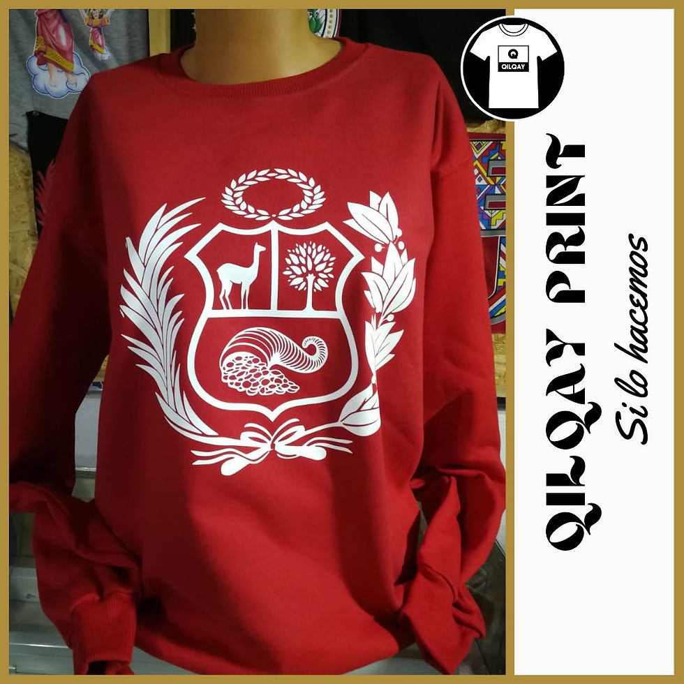 Miniatura: Escudo B1