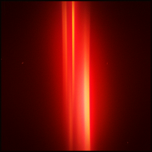 BG Artists Light.gif