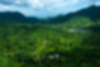Picture of Heritage Kava Location in Ovalau, Fiji