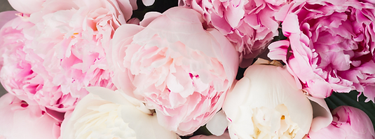 MLV Wix Photos-2.png