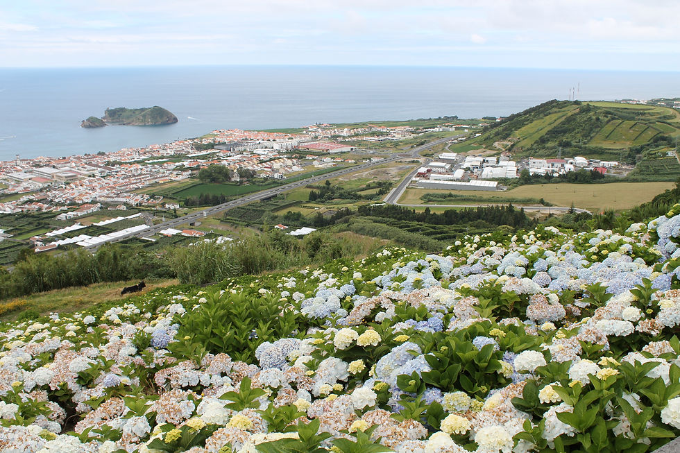 Vila Franca do Campo