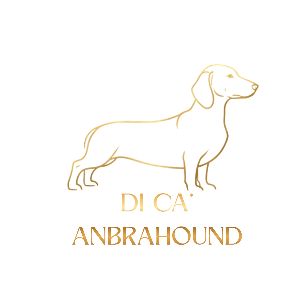 ANBRAHOUND BIANCO.png