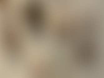 谷川俊太郎 絵本★百貨展 へ行ってみた