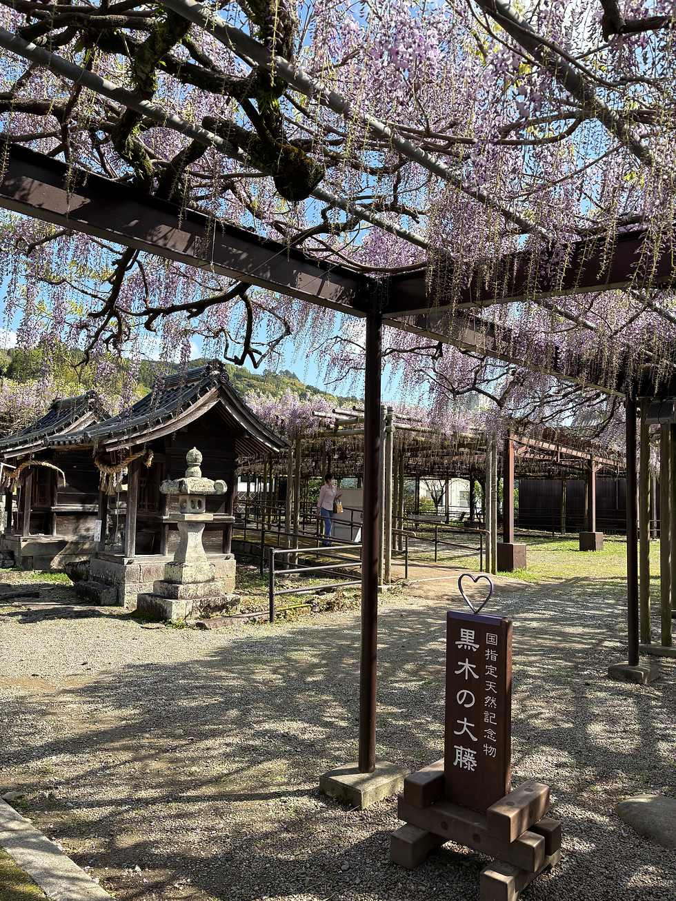 八女一日ガイドツアー