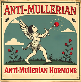 anti mullerian hormone AMH lab test