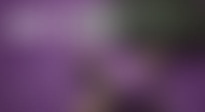 Newsletter Week Beginning 22nd February 2026