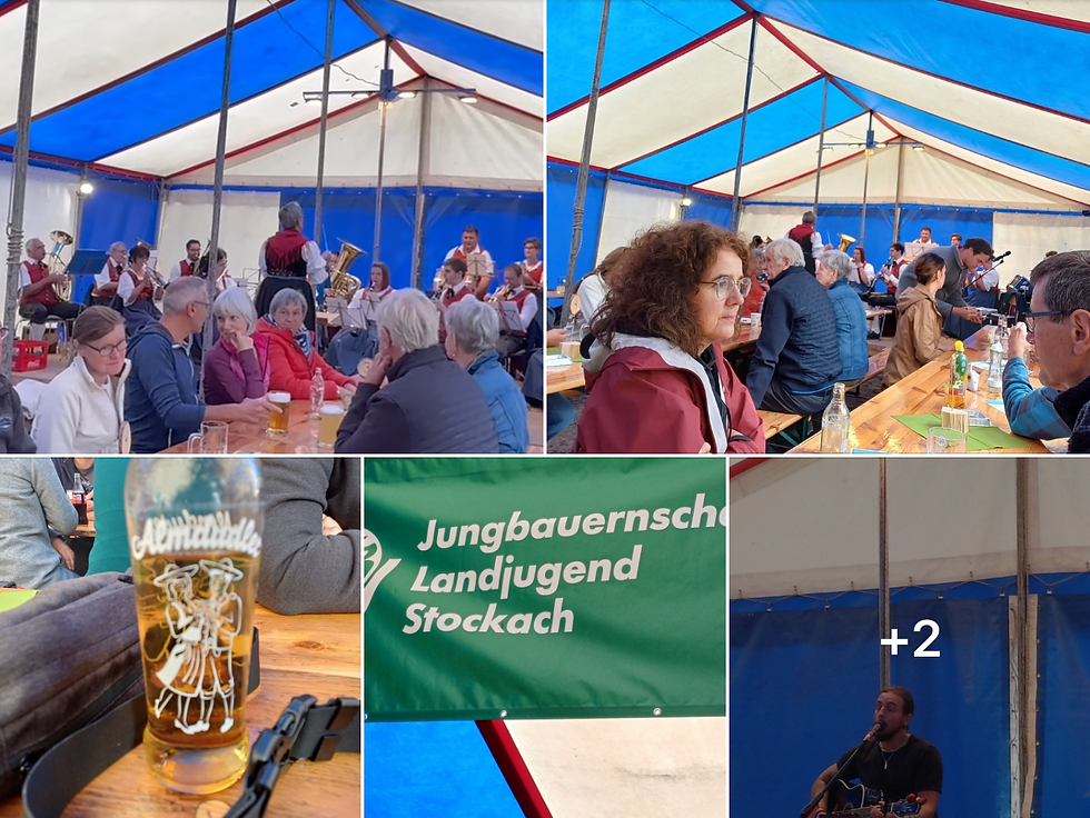 Dorffest Stockach - STEVY ROX unplugged
