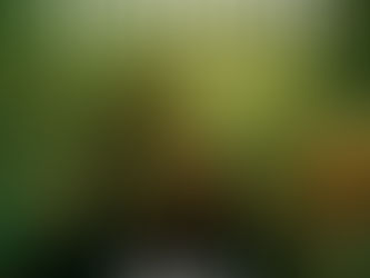 SINGLE RELEASE JAN. 24th