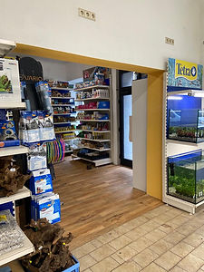 Aquarium Graz Innenansicht 5.jpg