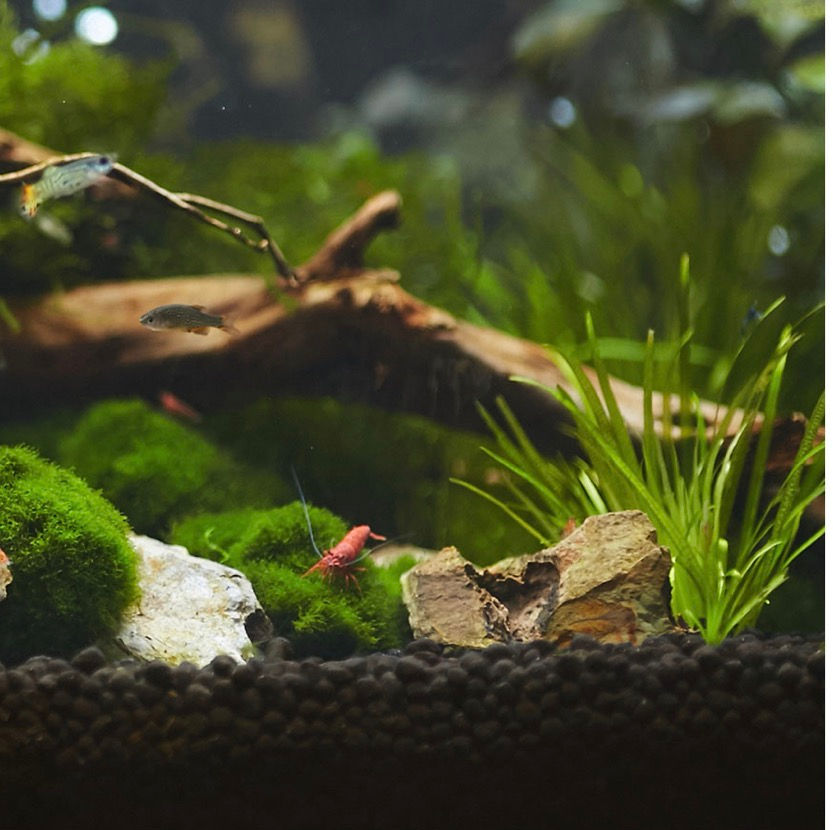 Thumbnail: aquavitro® aquasolum™ 4KG