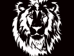 Welcome to Beast Training Academy