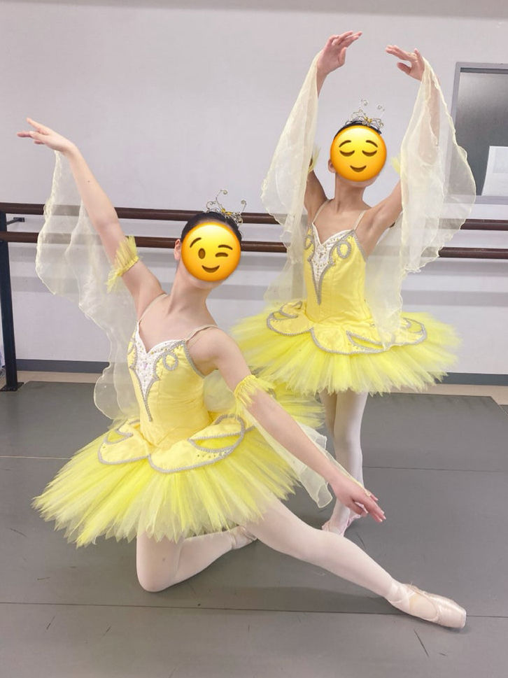 アンダーソンコレクションズより ~忘れられし夢~ ちょうちょうチームの2人