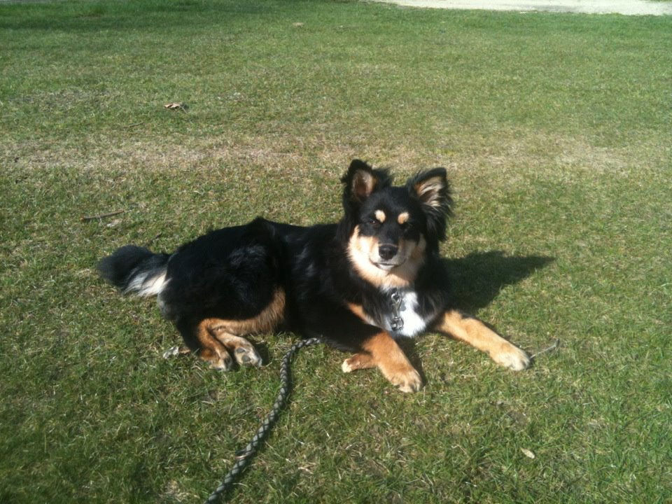 Molly på camping