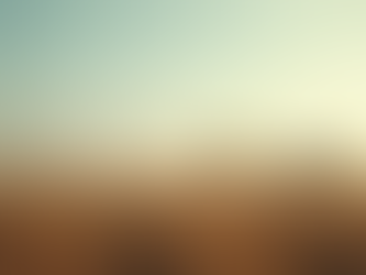 Protección de Activos para Migrantes Exitosos