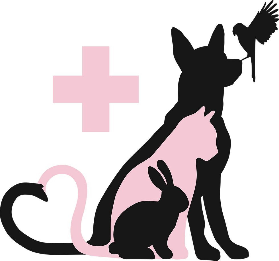 Logo CVAO.png