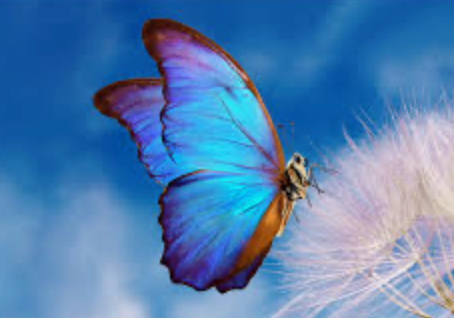 L'immobilier se dépoussière