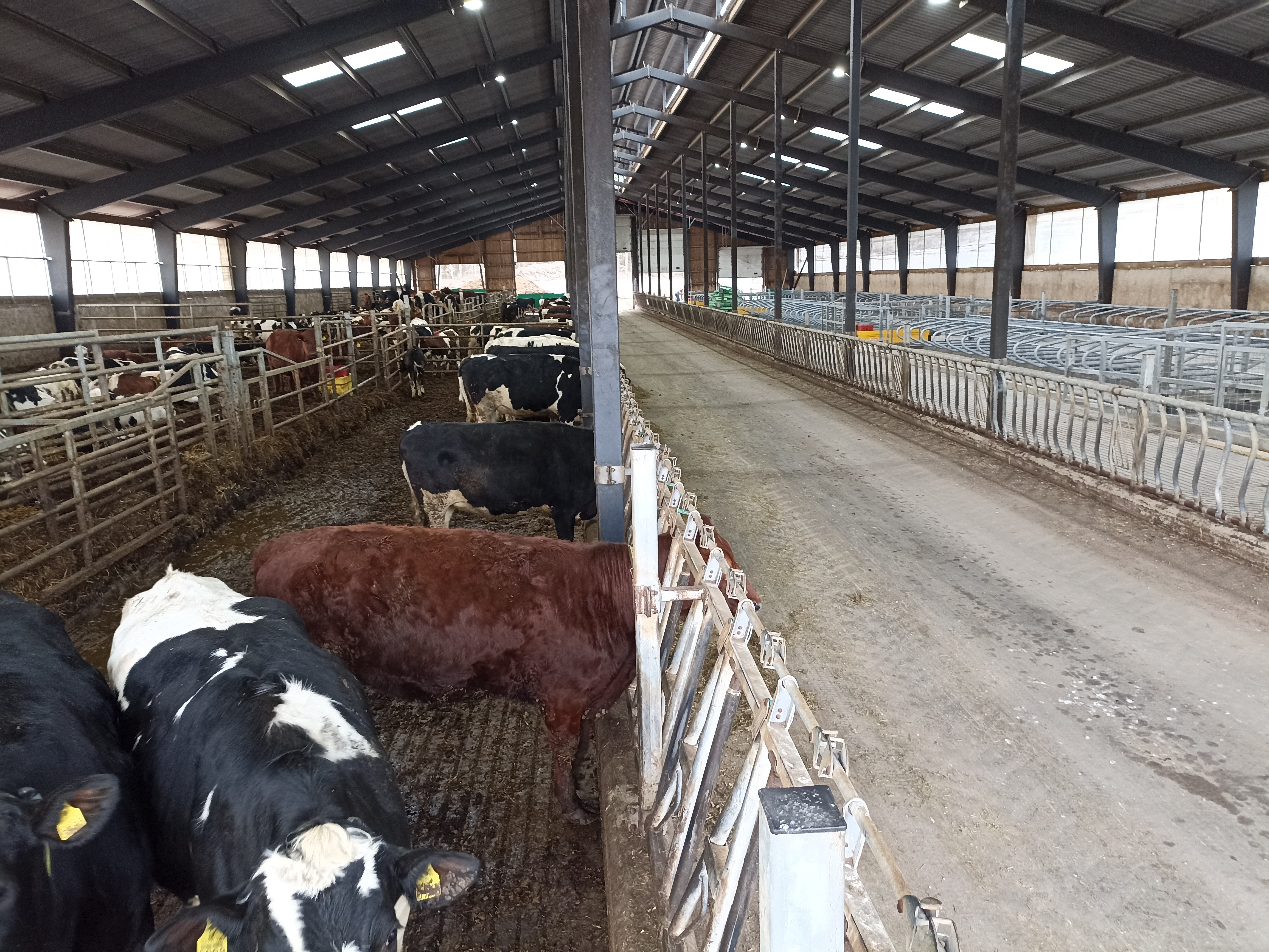 DairyTec, Projektid, VALMIS TYÕT, Ahvenamaa, 2025, vahepiirded, puhkealad.