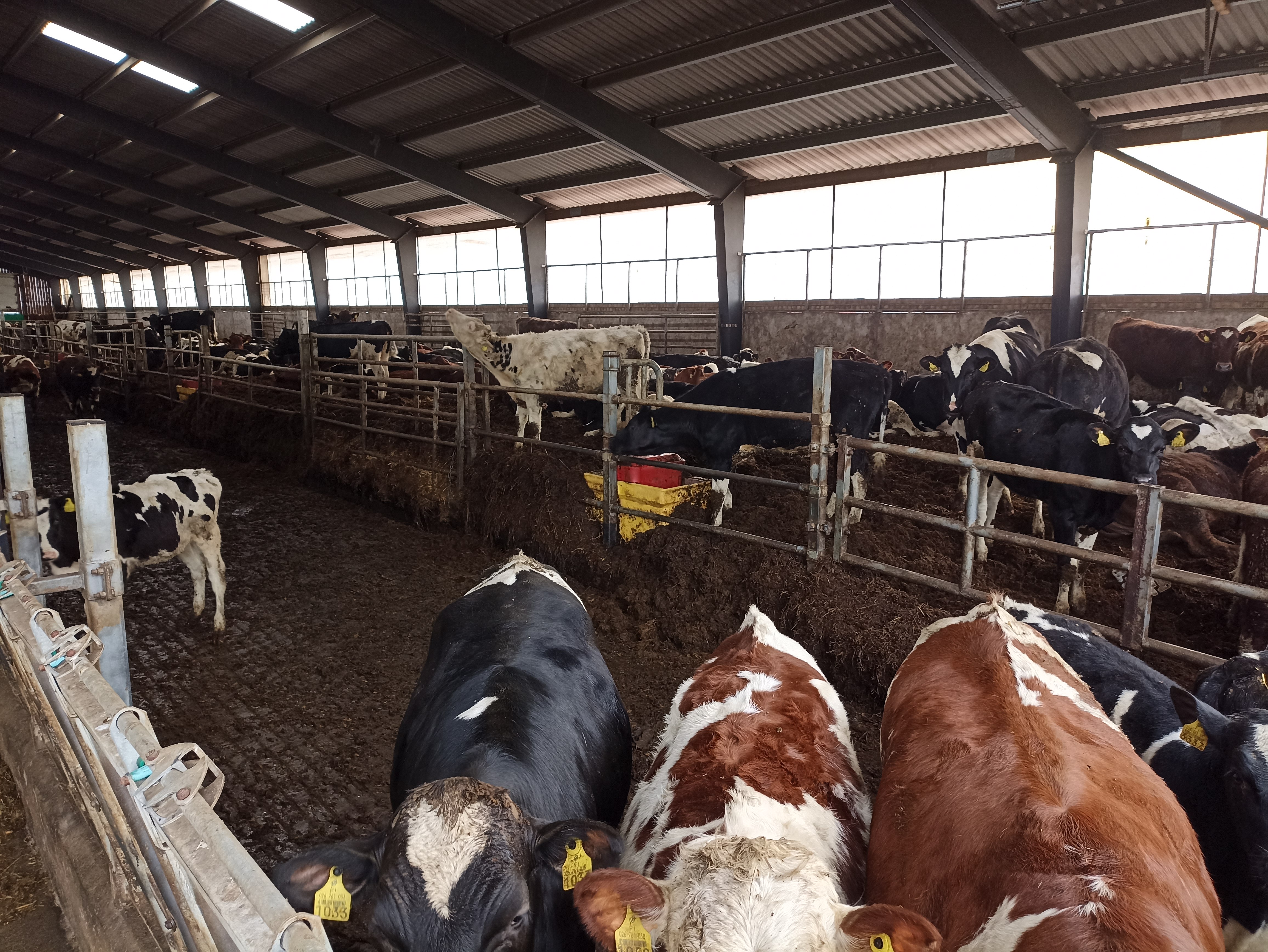 DairyTec, Projektid, VALMIS TYÕT, Ahvenamaa, 2025, vahepiirded, puhkealad.