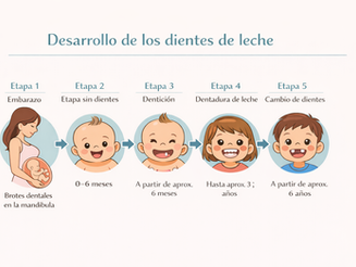 Cómo cuidar los dientes de leche incluso antes del nacimiento
