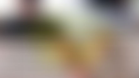 NOUVELLE REVUE 2026 !